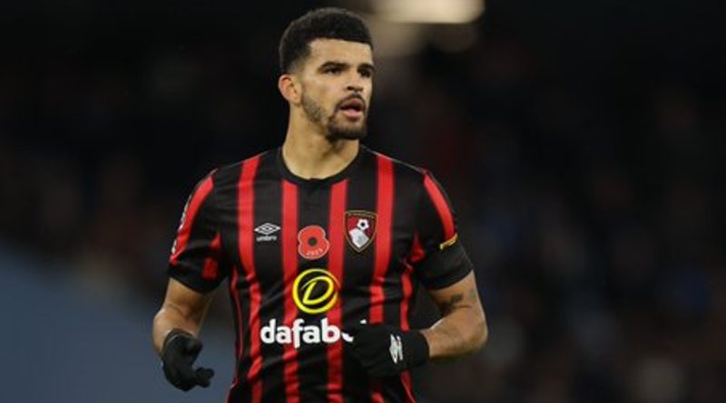 Dominic Solanke in a file photo. Credits: Twitter/@afcbournemouth