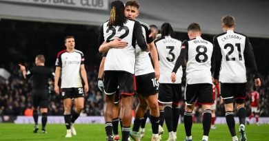 Fulham FC in a file photo; Credit: Twitter@FulhamFC